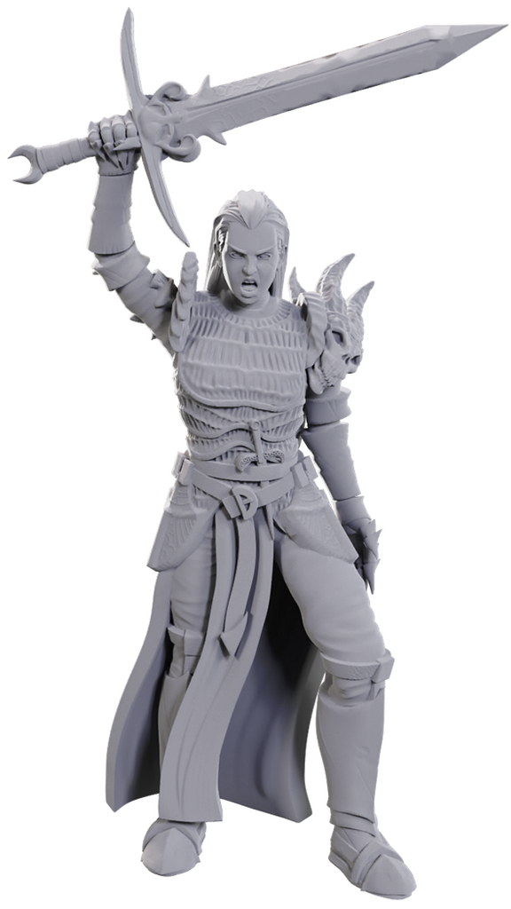 DUNGEONS & DRAGONS - WIZKIDS UNPAINTED MINIS:  WV25 BLACKGUARD - WZK90772 - NEW RELEASE