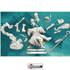 D & D FRAMEWORKS :   Male Human Wizard     (WAVE 1)   #WZK75030