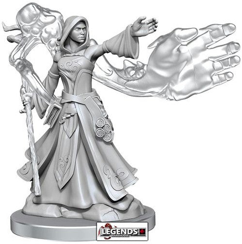 D & D FRAMEWORKS :  Female Elf Wizard   (WAVE 1)   #WZK75023