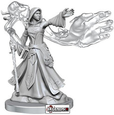D & D FRAMEWORKS :  Female Elf Wizard   (WAVE 1)   #WZK75023