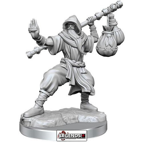 D & D FRAMEWORKS :   Male Human Monk     (WAVE 1)   #WZK75075