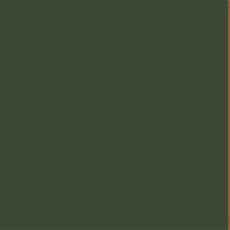 Vallejo Game Color 72.067 CAYMAN GREEN