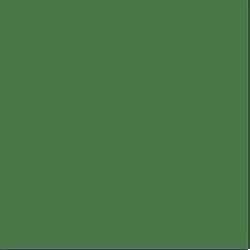 Vallejo Game Color 72.025 FOUL GREEN