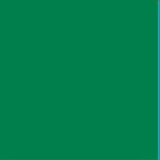 Vallejo Game Color 72.089 GREEN (INK)