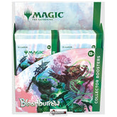 MTG - BLOOMBURROW   COLLECTOR BOOSTER BOX  -   ENGLISH