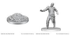 DUNGEONS & DRAGONS UNPAINTED MINIS WV28 SWARM OF ROT GRUBS & ROT GRUB VICTIM  WZK90855
