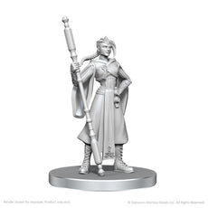 DUNGEONS & DRAGONS -UNPAINTED MINIS WV26 BEAUREGARD LIONETT & CALEB WIDOGAST WZK90789