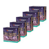 MTG - STREETS OF NEW CAPENNA - SET OF 5  (PRE-RELEASE AT HOME) DECKS - ENGLISH