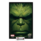 MARVEL SLEEVES - HULK  (65CT)