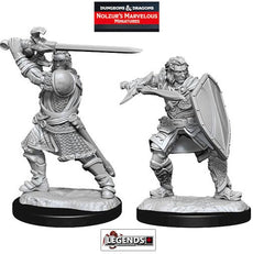 DUNGEONS & DRAGONS - UNPAINTED MINIATURES:  Male Human Paladin  #WZK90220