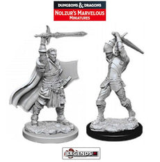 DUNGEONS & DRAGONS - UNPAINTED MINIATURES:  Male Human Paladin   (2)   #WZK90060