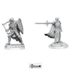 DUNGEONS & DRAGONS - UNPAINTED MINIATURES:   DEATH KNIGHTS     (WAVE 20)    #WZK90423