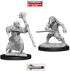 DUNGEONS & DRAGONS - UNPAINTED MINIATURES:  Kenku Adventurers (2)   #WZK73840