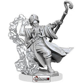 D & D FRAMEWORKS :   Male Human Wizard     (WAVE 1)   #WZK75030