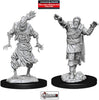 DUNGEONS & DRAGONS - UNPAINTED MINIATURES: SCARECROW AND STONE CURSED  #WZK90241