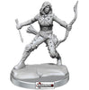 D & D FRAMEWORKS :  Female Human Rogue    (WAVE 1)   #WZK75038