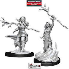 DUNGEONS & DRAGONS - UNPAINTED MINIATURES:  HUMAN DRUID FEMALE  #WZK90223