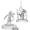 Deep Cuts - Unpainted Miniatures:  Gnome Female Druid (2))   #WZK73347