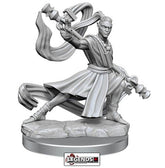 D & D FRAMEWORKS :   Male Elf Monk    (WAVE 1)   #WZK75027