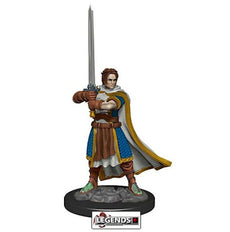 DUNGEONS & DRAGONS -  Premium Painted Figure: Male Human Cleric   #WZK93023