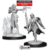 DUNGEONS & DRAGONS - UNPAINTED MINIATURES: FEMALE MULTICLASS WARLOCK + SORCERER   #WZK 90149