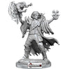 D & D FRAMEWORKS :  Male Human Warlock   (WAVE 1)   #WZK75039