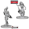 DUNGEONS & DRAGONS NOLZUR'S MARVELOUS UNPAINTED MINIATURES:  Medusas #WZK73191